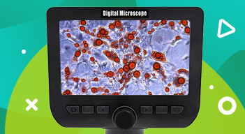 Что такое цифровой микроскоп?